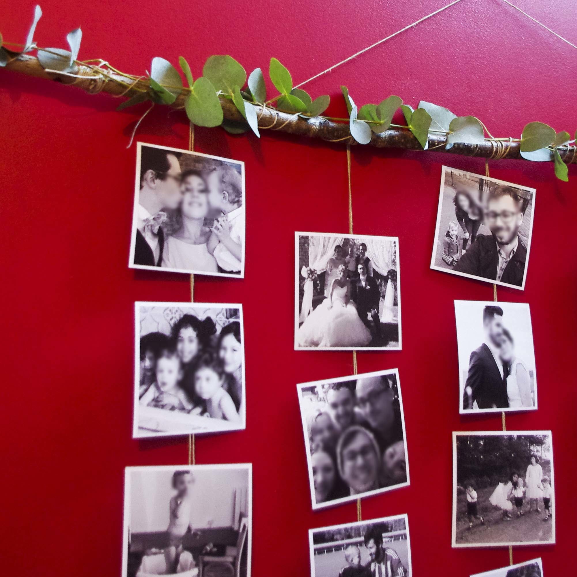Deco photos branche 5