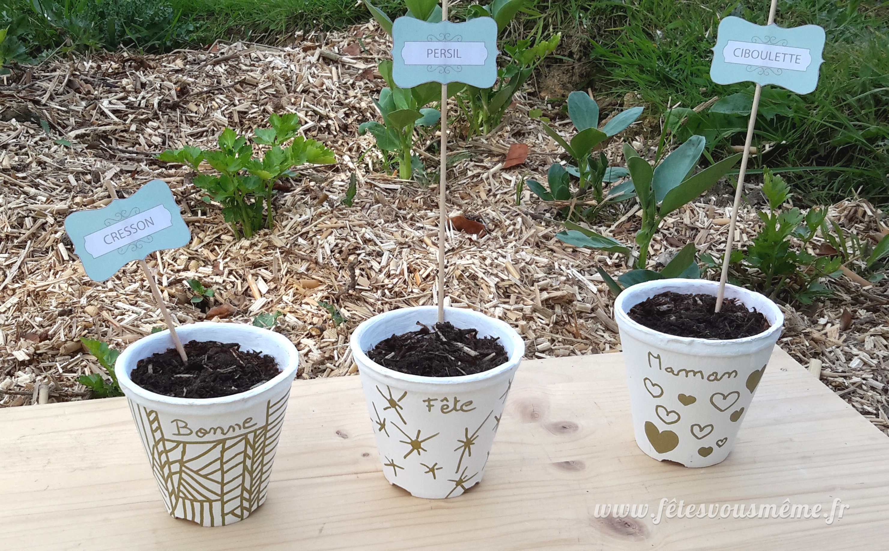 Pots aromates fete des meres
