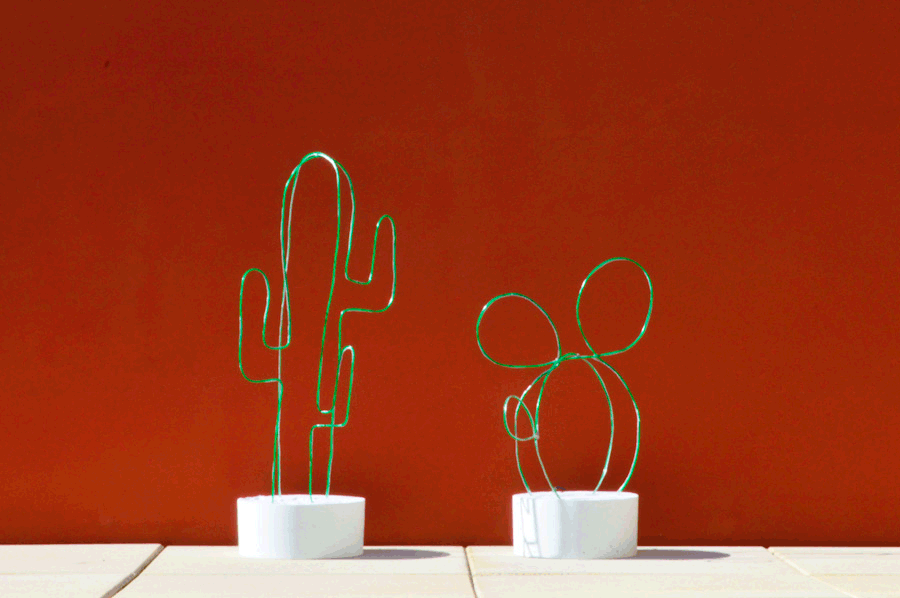 Diy cactus lumineux neon