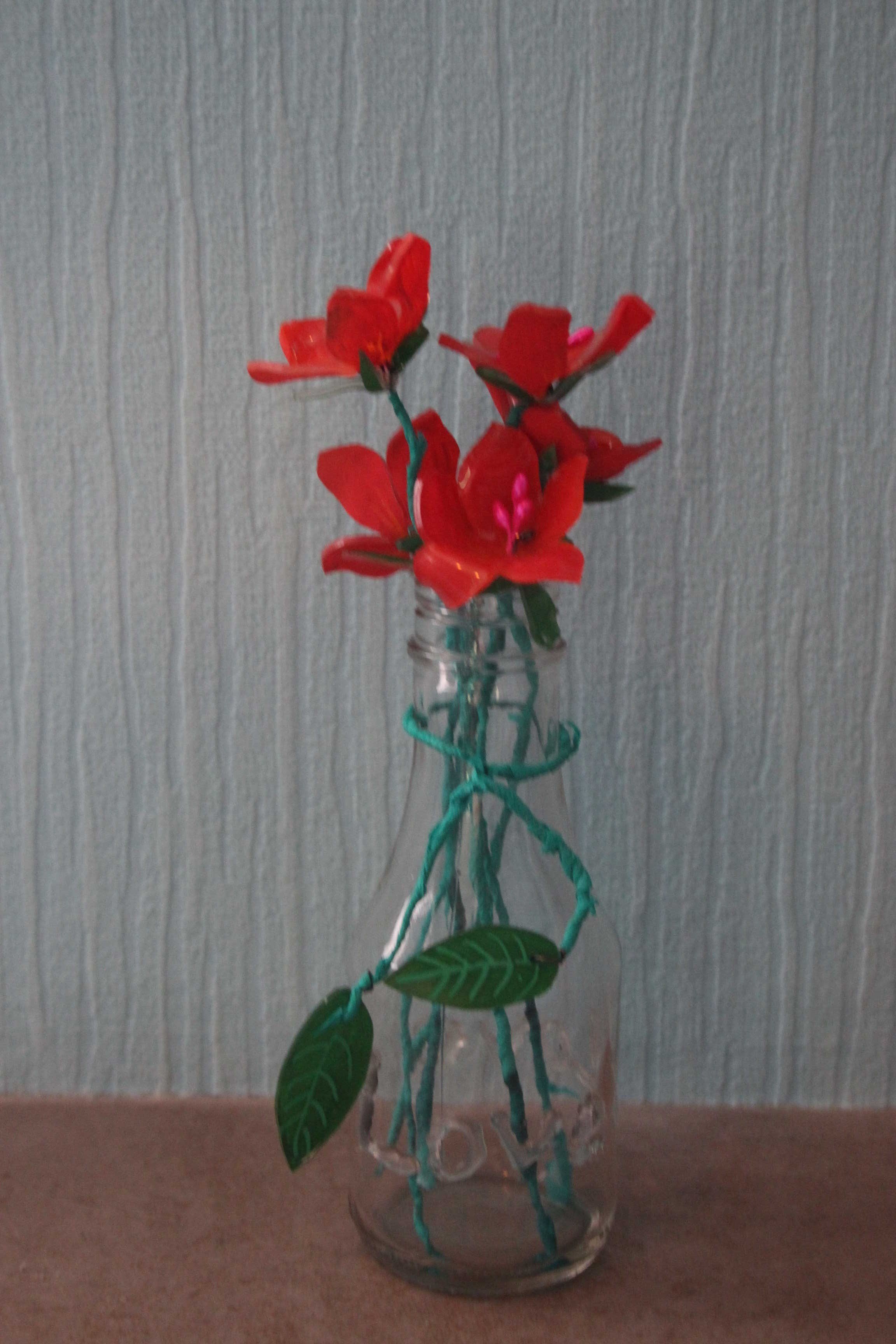 Medium img 1311