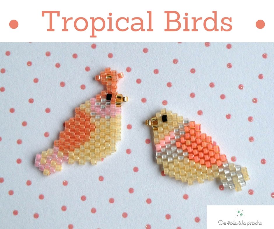 Tropical birds des %c3%a9toiles %c3%a0 la pistache
