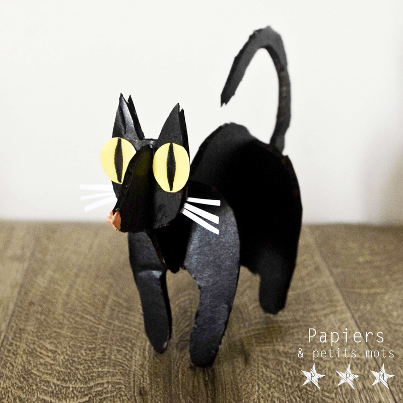 Chat noir 5a