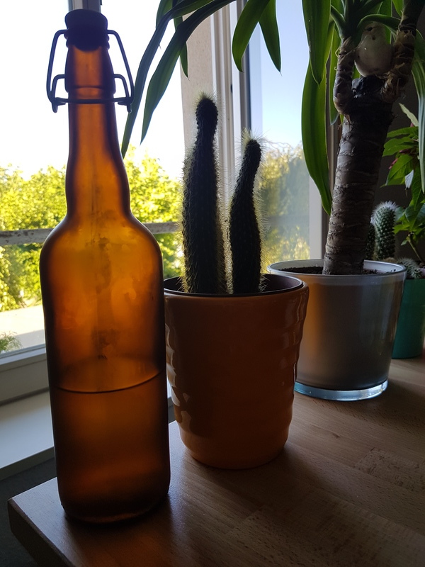 20170618 183904