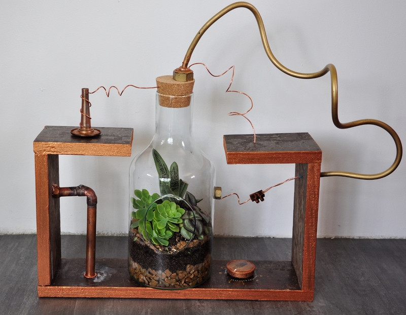 Oam terrarium laboratoire 01